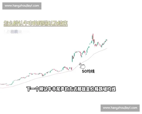 牛市与熊市的博弈探讨：如何在金融市场中捕捉机会与规避风险